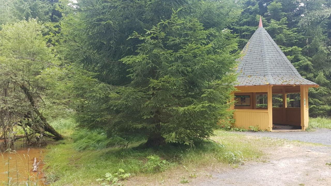Apartman U Kolonady Mariańskie Łaźnie Zewnętrze zdjęcie